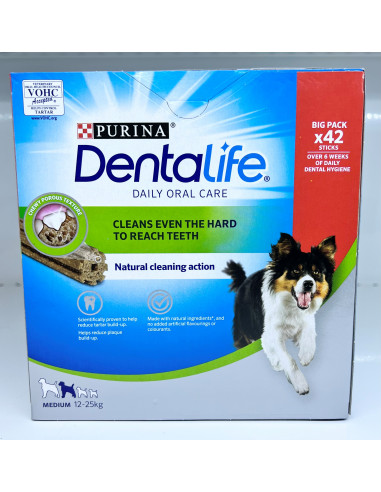 Dentalife Medium